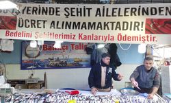 Balıkçıdan örnek davranış Şehit ailelerine ücretsiz balık