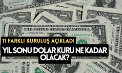 11 farklı kuruluş açıkladı: Yıl sonu dolar kuru ne kadar olacak?