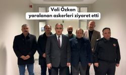 Vali Özkan yaralanan askerleri ziyaret etti