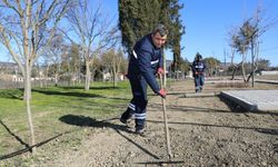 Üçpınar Mesire Alanında çalışmalar son ya geldi