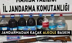 Jandarmadan kaçak alkole baskın