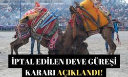 İptal edilen deve güreşi kararı açıklandı!