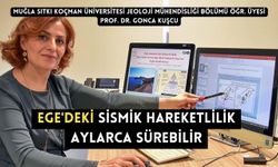 Ege'deki sismik hareketlilik aylarca sürebilir