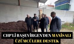 CHP'li Başevirgen'den Manisalı üzümcülere destek