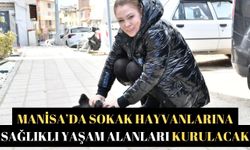 Manisa’da Sokak hayvanlarına sağlıklı yaşam alanları kurulacak