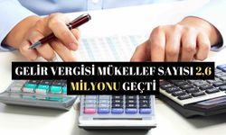 Gelir vergisi mükellef sayısı 2,6 milyonu geçti