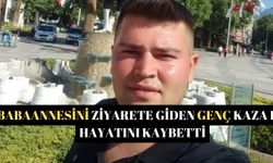 Babaannesini ziyarete giden genç kazada hayatını kaybetti