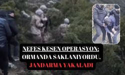 Nefes kesen operasyon: Ormanda saklanıyordu, jandarma yakaladı