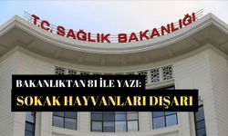 Bakanlık'tan 81 ile yazı: Sokak hayvanları yerleşkelerin dışına çıkarılacak