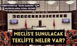 Türkiye'nin ilk "İklim Kanunu" için hazırlıklarda sona gelindi