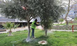 Havalar ısındı kapsamlı temizlik çalışmaları başladı