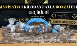 Manisa'da 1 kilodan fazla Bonzai ele geçirildi