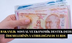 Bakanlık  Sosyal ve Ekonomik Destek (SED) ödemelerinin yatırıldığını duyurdu