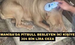 Manisa’da pitbull besleyen iki kişiye 304 bin lira ceza