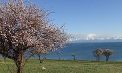 Manisalı vatandaş Van'a hayran kaldı