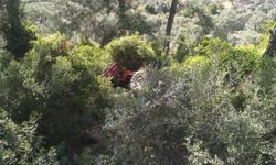Kontrolden çıkan traktör ormanlık alana devrildi: 2 yaralı