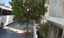 Otobüs şoförü sokak köpeğini ezdi