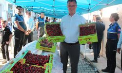 Alaşehirliler festivalle coşacak