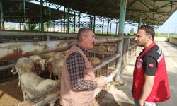 Hayvan pazarında bayram öncesi sıkı denetim