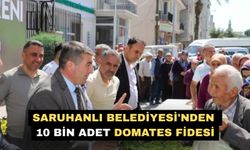 Saruhanlı Belediyesi'nden 10 bin adet domates fidesi