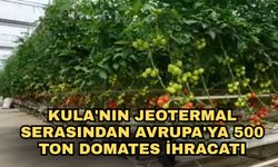 Kula'nın Jeotermal Serasından Avrupa'ya 500 ton domates ihracatı
