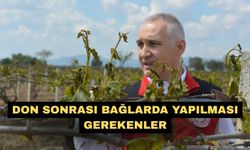 Don sonrası bağlarda yapılması gerekenler
