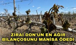 Zirai don'un en ağır bilançosunu Manisa ödedi