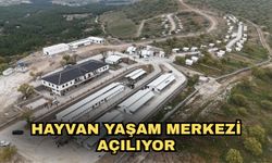Hayvan Yaşam Merkezi açılıyor