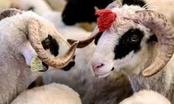 Kurban Bayramı tatili uzatıldı mı?