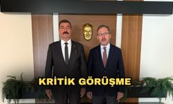 Kritik görüşme