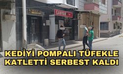 Kediyi pompalı tüfekle katletti serbest kaldı