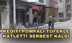 Kediyi pompalı tüfekle katletti serbest kaldı