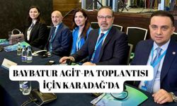 Baybatur AGİT-PA Toplantısında