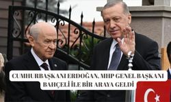 Cumhurbaşkanı Erdoğan, MHP Genel Başkanı Bahçeli ile bir araya geldi