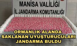 Ormanlık alanda saklanan uyuşturucuları jandarma buldu
