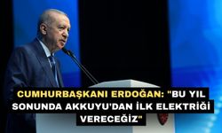 Cumhurbaşkanı Erdoğan: "Bu yıl sonunda Akkuyu'dan ilk elektriği vereceğiz"
