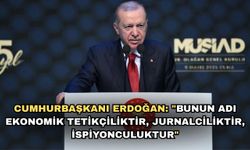 Cumhurbaşkanı Erdoğan: "Bunun adı ekonomik tetikçiliktir, jurnalciliktir, ispiyonculuktur"