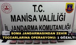 Soma jandarmasından zehir tüccarlarına operasyonu: 1 gözaltı