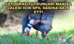 Fotoğraf tutkunları Manisa Lalesi için Spil Dağına akın etti