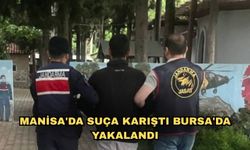 Manisa'da suça karıştı Bursa'da yakalandı