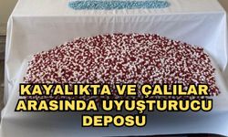 Kayalıkta ve çalılar arasında uyuşturucu deposu