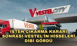 İşten çıkarma kararı sonrası Vestel'in hisseleri dibe girdi