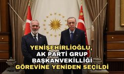 Yenişehirlioğlu, AK Parti Grup Başkanvekilliği görevine yeniden seçildi