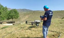 Manisa'da çekirgeye karşı havadan ve karadan mücadele
