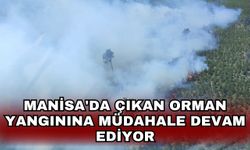 Manisa'da çıkan orman yangınına müdahale devam ediyor