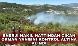 Enerji nakil hattından çıkan orman yangını kontrol altına alındı