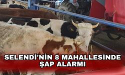 Selendi'nin 8 mahallesinde şap alarmı