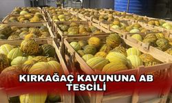 Kırkağaç Kavununa AB tescili