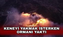 Keneyi yakmak isterken ormanı yaktı