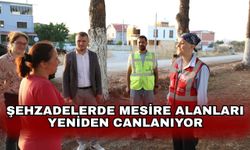 Şehzadelerde Mesire alanları yeniden canlanıyor